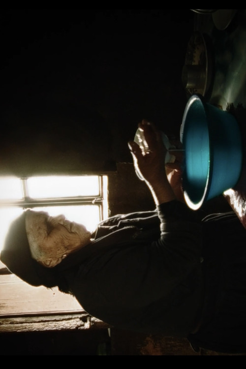 Occupied Territories (2022) poster