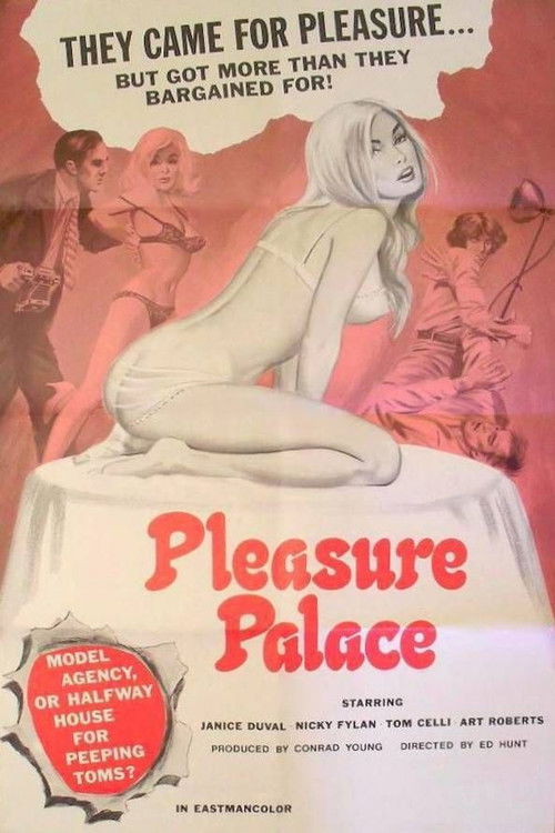 Pleasure Palace (1973) poster