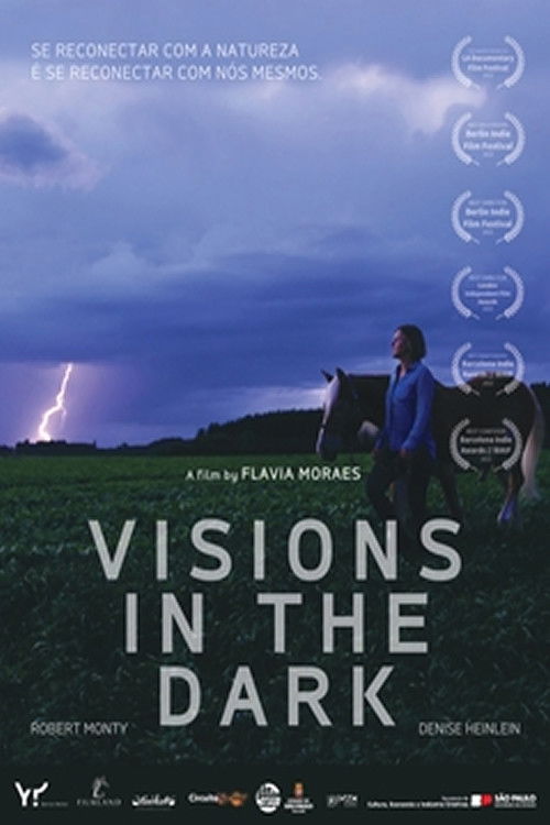 Visions in the Dark (2023) poster