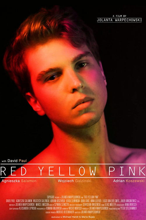 Red Yellow Pink (2020) poster