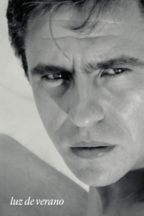 Luz de verano (2019) poster