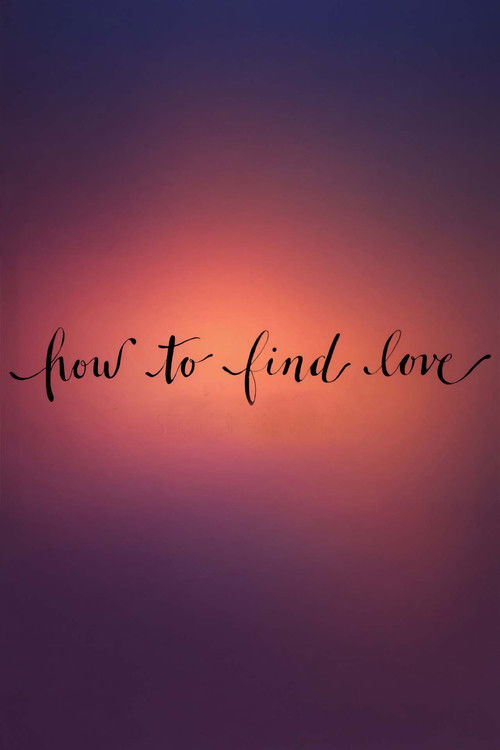 How to Find Love (2016) poster