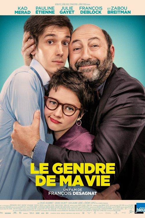 Le Gendre de ma vie (2018) poster
