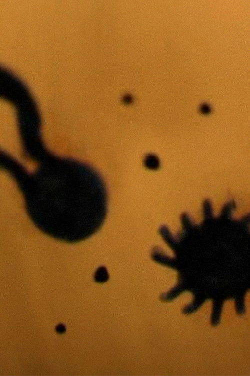 Bark You Mongrel, Raise Hell My Pearl (2006) poster