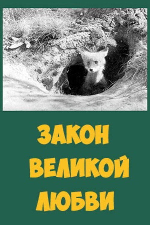 Закон великой любви (1945) poster