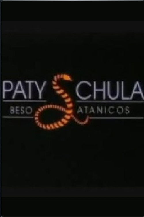 Paty chula (1991) poster