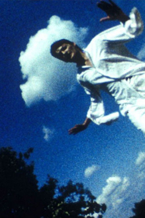 Falling. Desert. Syn (1985) poster