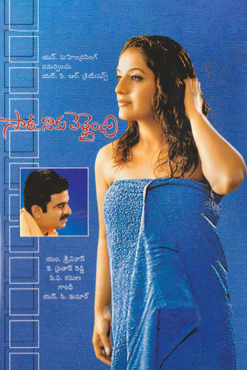 Sorry Naku Pellaindi (2004) poster