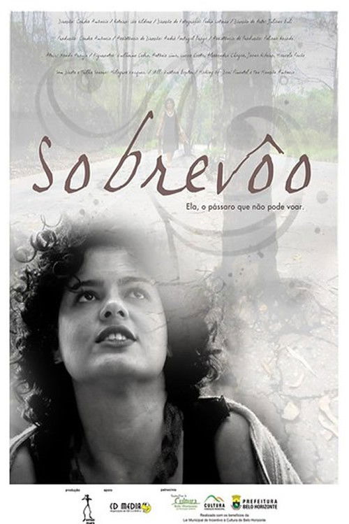 Sobrevôo (2009) poster