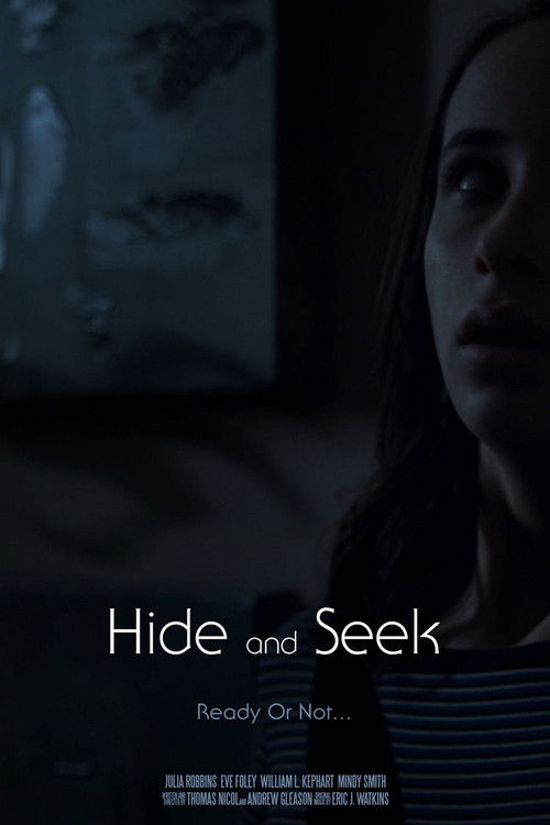 Hide and Seek (2019) poster