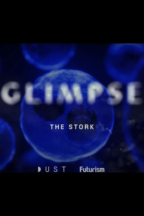 Glimpse Ep 2: The Stork (2018) poster