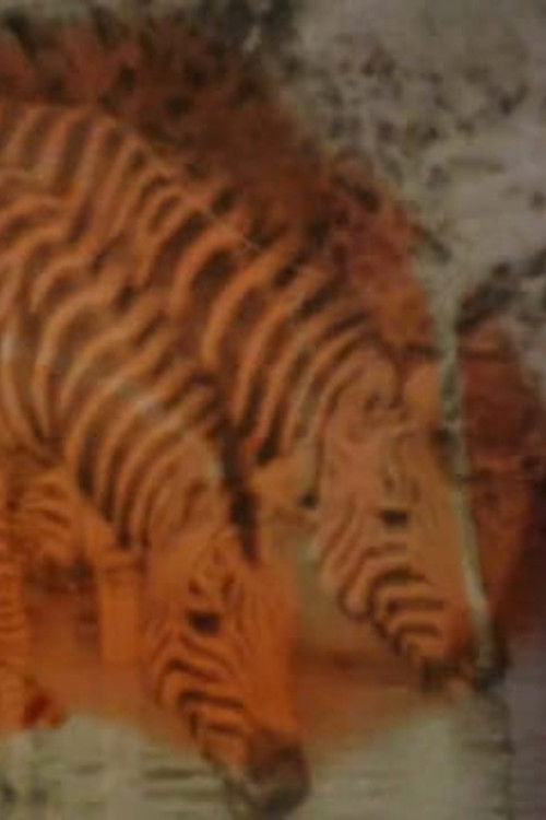 Horror Vacui (2013) poster