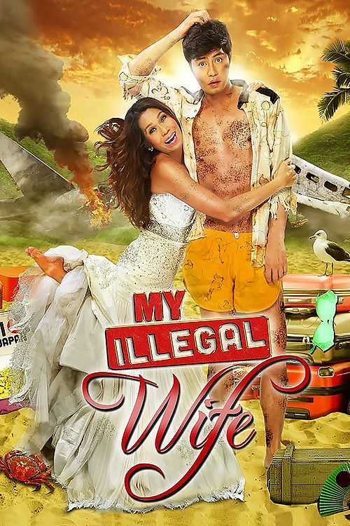 My Illegal Wife (2014) poster
