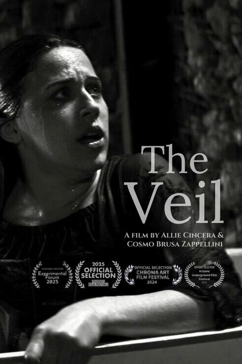 The Veil (2024) poster