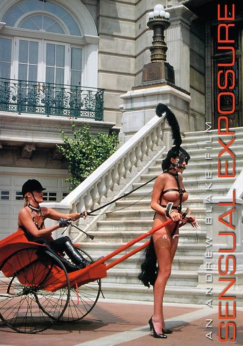 Sensual Exposure (1993) poster