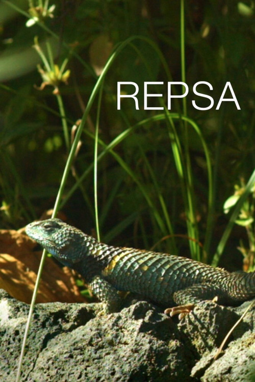 Repsa (2017) poster