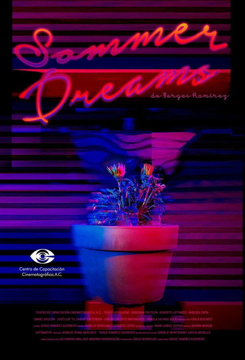 Sommer Dreams (2016) poster