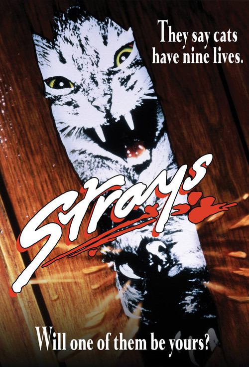 Strays (1991) poster
