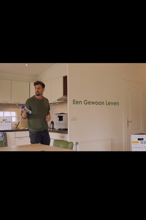 Een gewoon leven (2018) poster