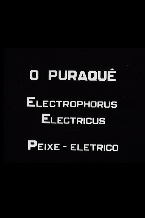O Puraquê (1939) poster