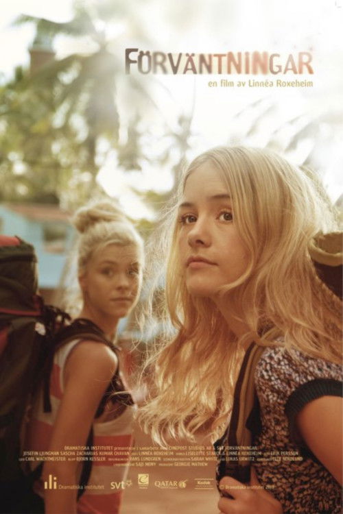 Expectations (2011) poster