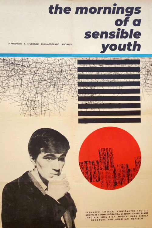 Diminețile unui băiat cuminte (1967) poster