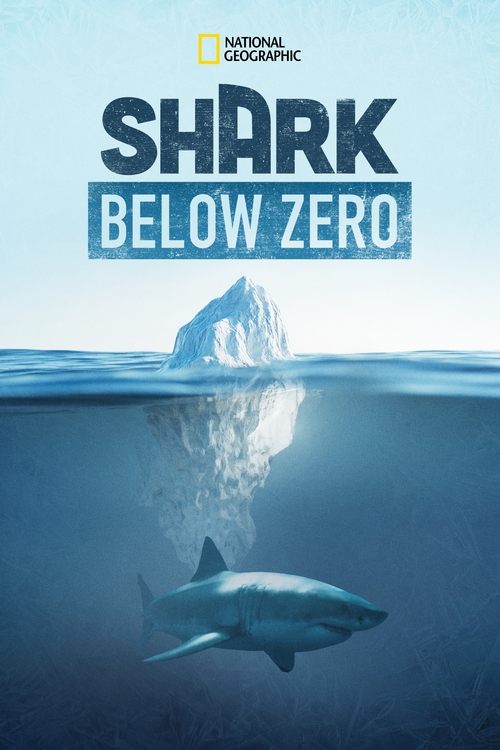 Shark Below Zero (2023) poster
