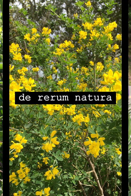 de rerum natura (2019) poster