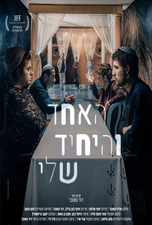 My One and Only (2025) poster