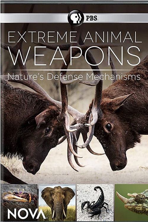Extreme Animal Weapons poster
