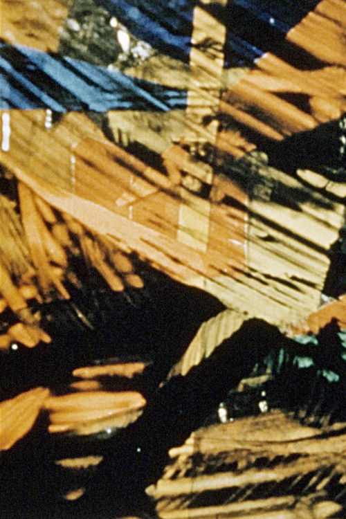 Buffalo Bill in 27 Forms (1958) poster