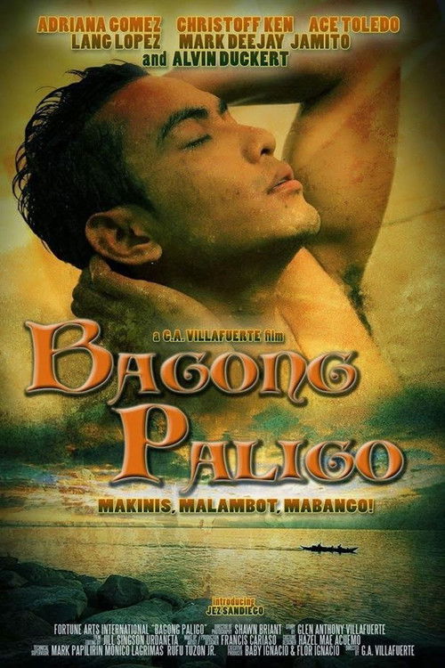Bagong Paligo (2013) poster