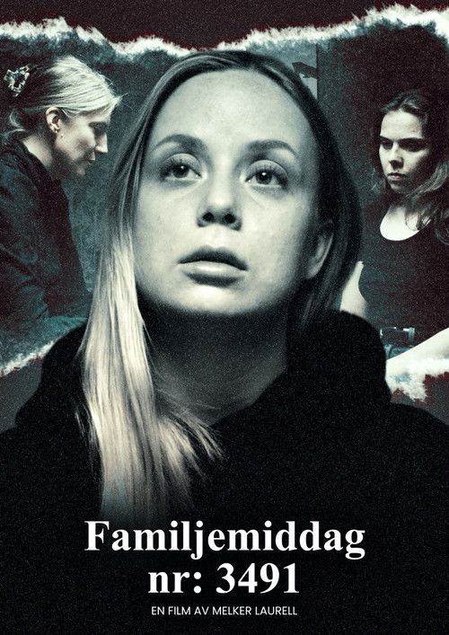 Family Dinner No. 3491 (2025) poster