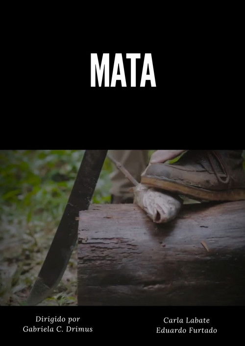 MATA poster