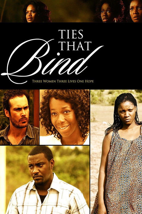 Ties That Bind (2011) poster