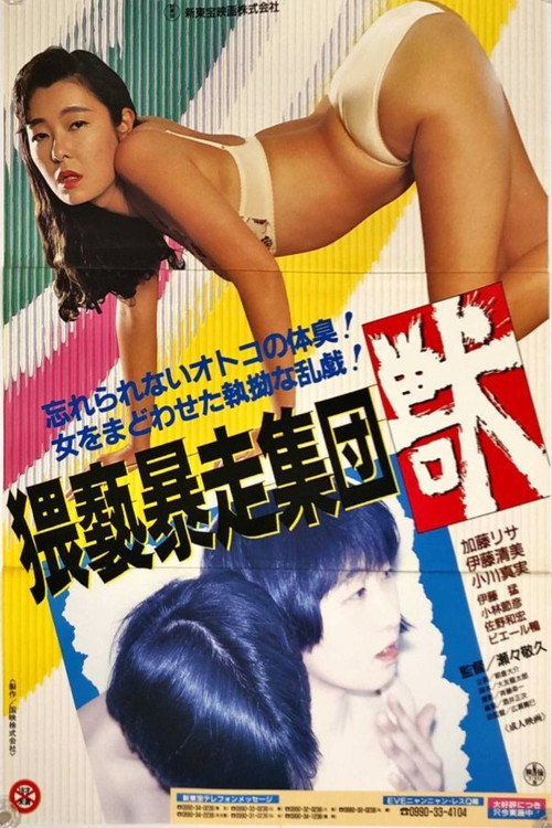 猥褻暴走集団　獣 (1991) poster