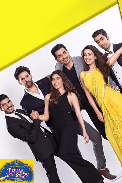 Teri Meri Love Story (2016) poster