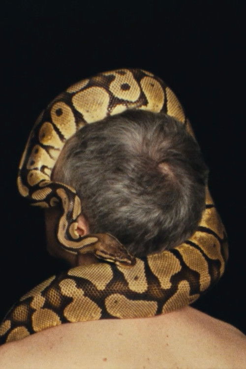 The Seismic Form (2020) poster