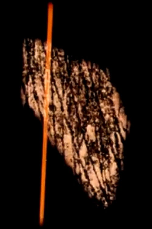 Étude 65 (1965) poster