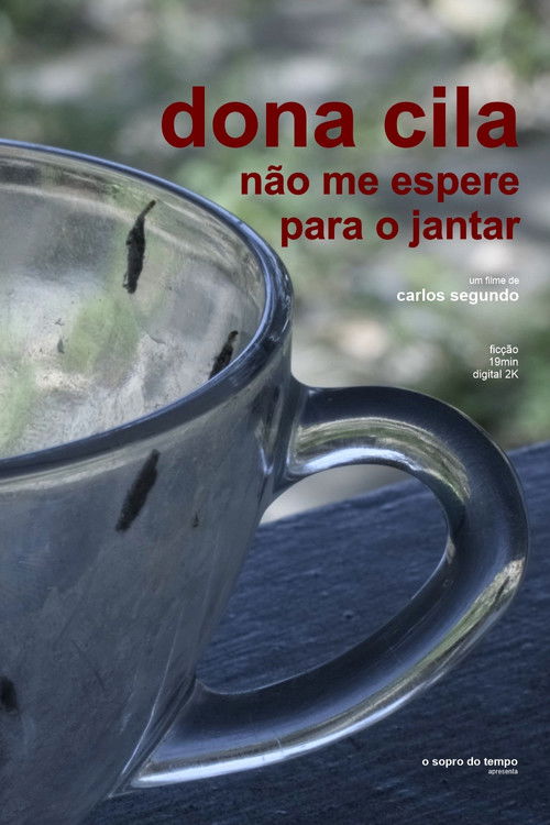 Dona Cila, Don't Wait For Me For Dinner (2020) poster