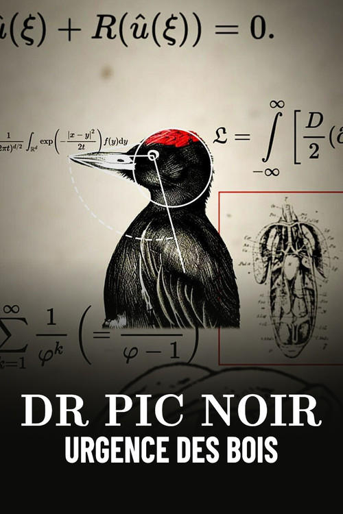 Dr Pic Noir, urgence des bois (2023) poster
