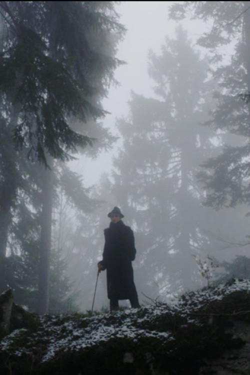 The Raven (2013) poster