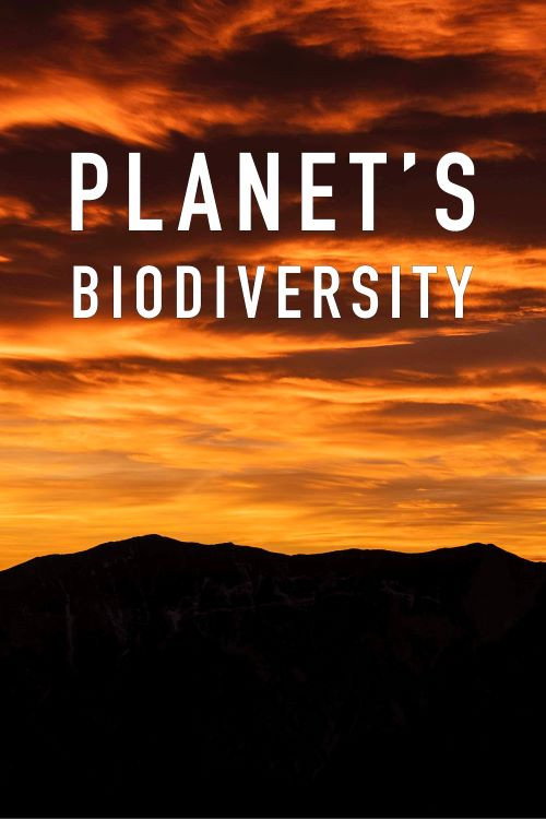 Planet's Biodiversity (2020) poster