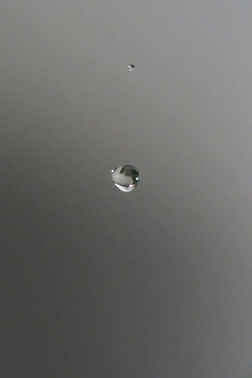 About Falling in Love and Even Little Rubber Ducks (2017) poster