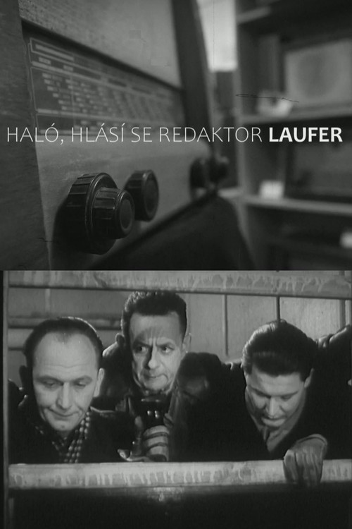 Haló, hlásí se redaktor Laufer! (2021) poster
