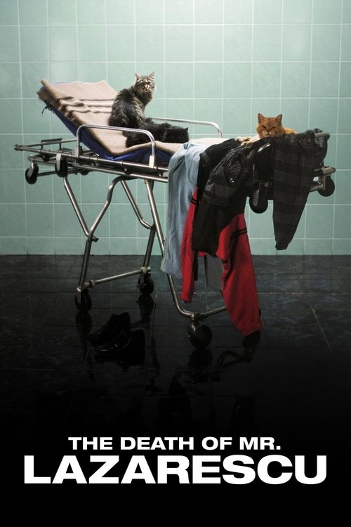 The Death of Mr. Lazarescu (2005) poster