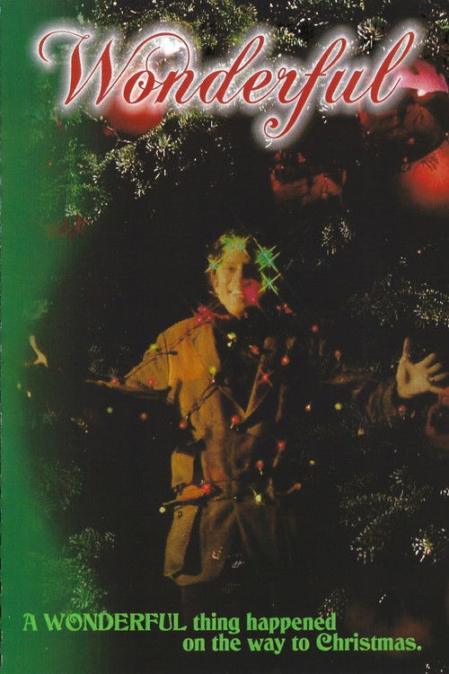 Wonderful (2008) poster