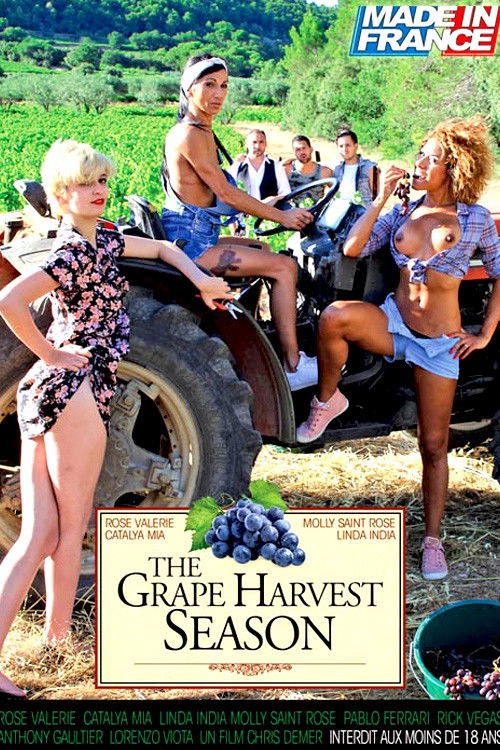 The Grape Harvest Season (2017) poster