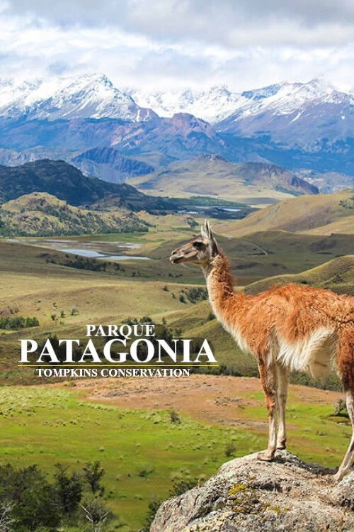 Parque Patagonia (2017) poster