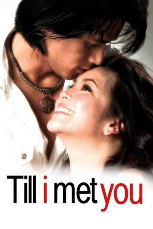 Till I Met You (2006) poster